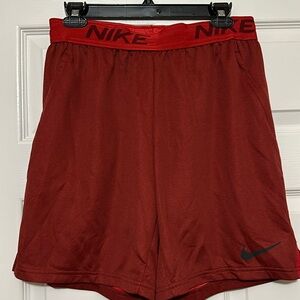 Nike Dri Fit Shorts